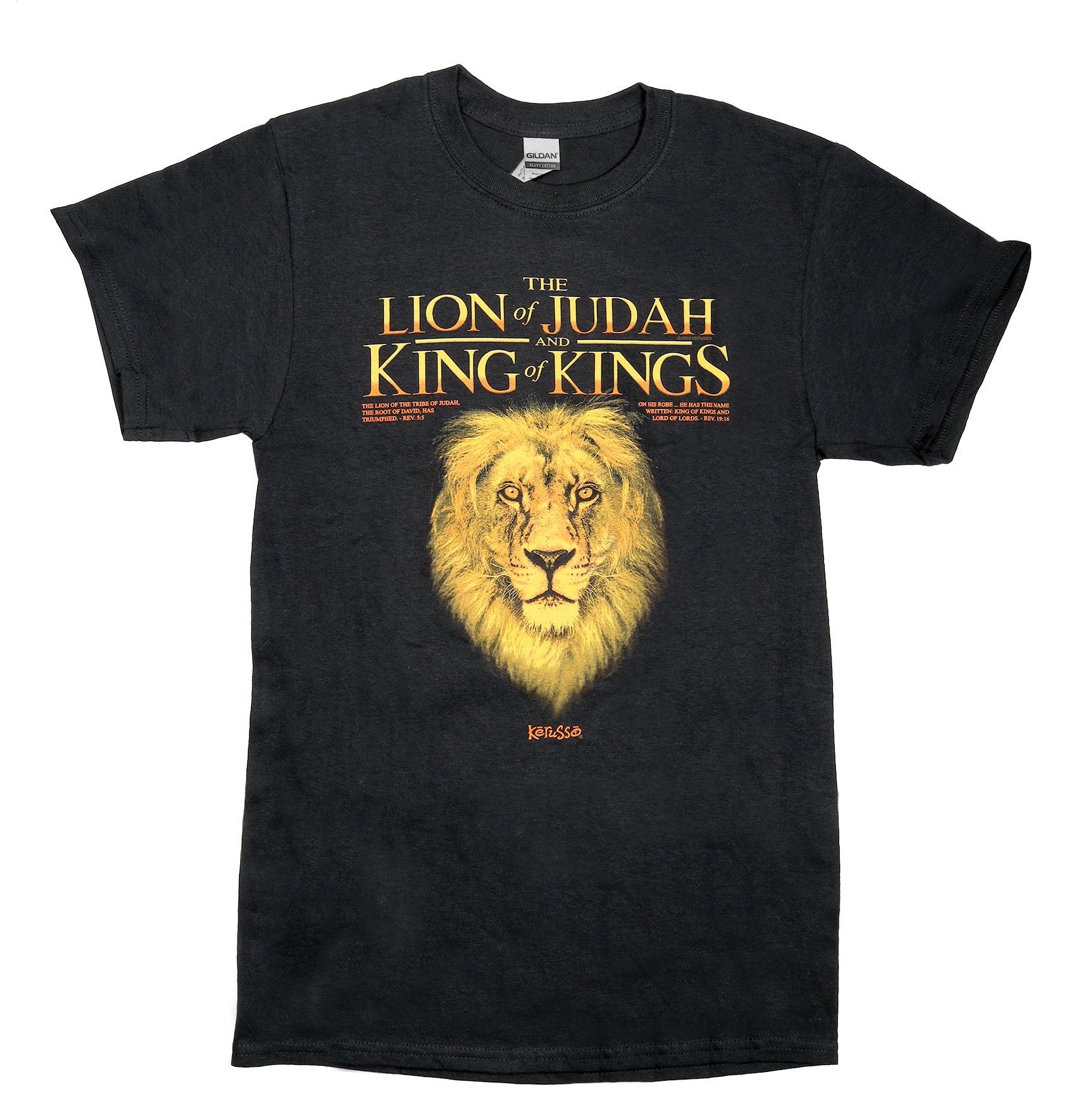 chris tomlin lion shirt