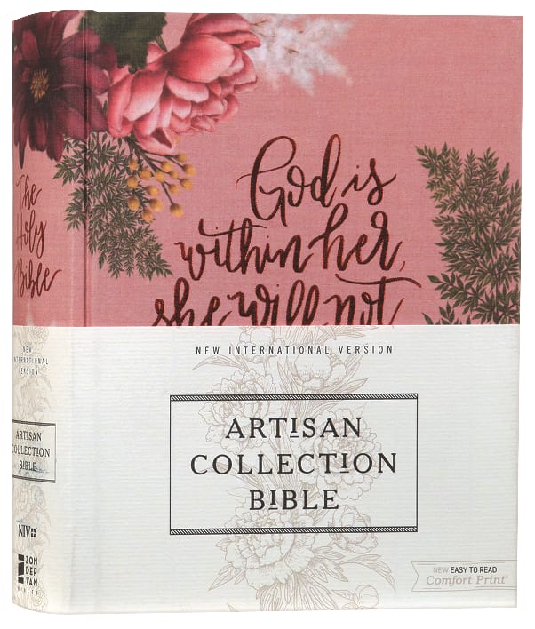 NIV Illustrating Bible, Pink
