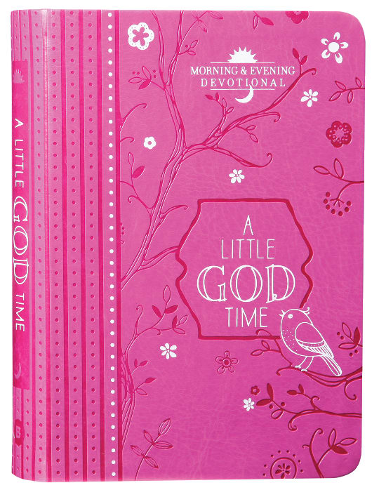 Little God Time, A: Morning & Evening Devotional (365 Daily Devotions  Series)