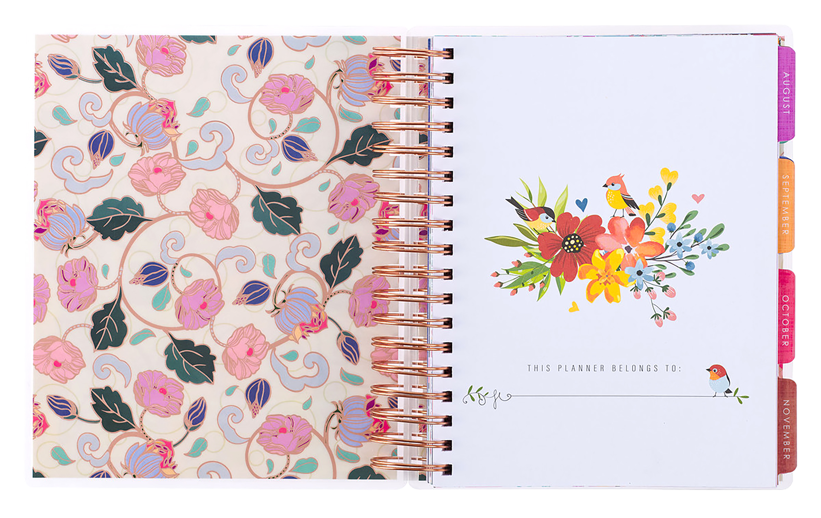 2024 18-Month Diary/Planner: Adventure Awaits, Laminated Cover, Elastic  Closure (Aug 2023 To Jan 2025)