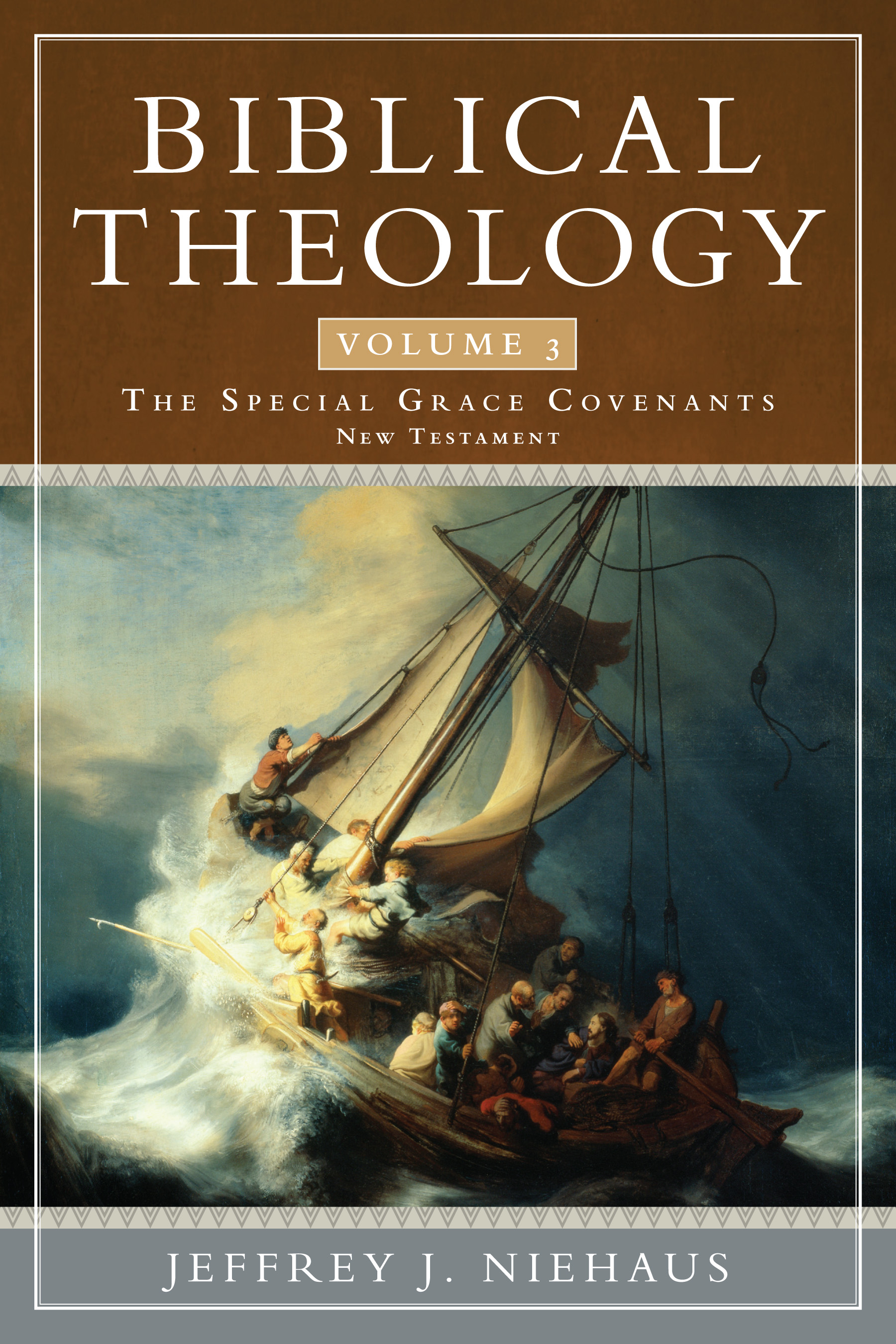 Biblical Theology #03: Special Grace Covenants (New Testament) | Koorong