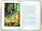 The Pilgrim's Progress: From This World to That Which is to Come Hardback - Thumbnail 2