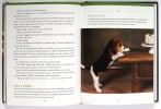 Pawverbs For a Dog Lover's Heart: Inspiring Stories of Friendship, Fun, and Faithfulness Hardback - Thumbnail 3