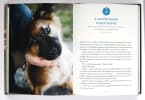Pawverbs For a Dog Lover's Heart: Inspiring Stories of Friendship, Fun, and Faithfulness Hardback - Thumbnail 1