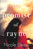 The Promise of Rayne Paperback - Thumbnail 0