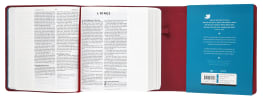NIV Journalling Bible With Magnetic Clasp Plum Anglicised Text Flexi Back - Thumbnail 2