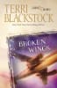Broken Wings (Second Chances Series) Paperback - Thumbnail 0