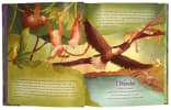 I Wonder: Exploring God's Grand Story: An Illustrated Bible Hardback - Thumbnail 3