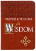 Prayers & Promises For Wisdom Imitation Leather - Thumbnail 0