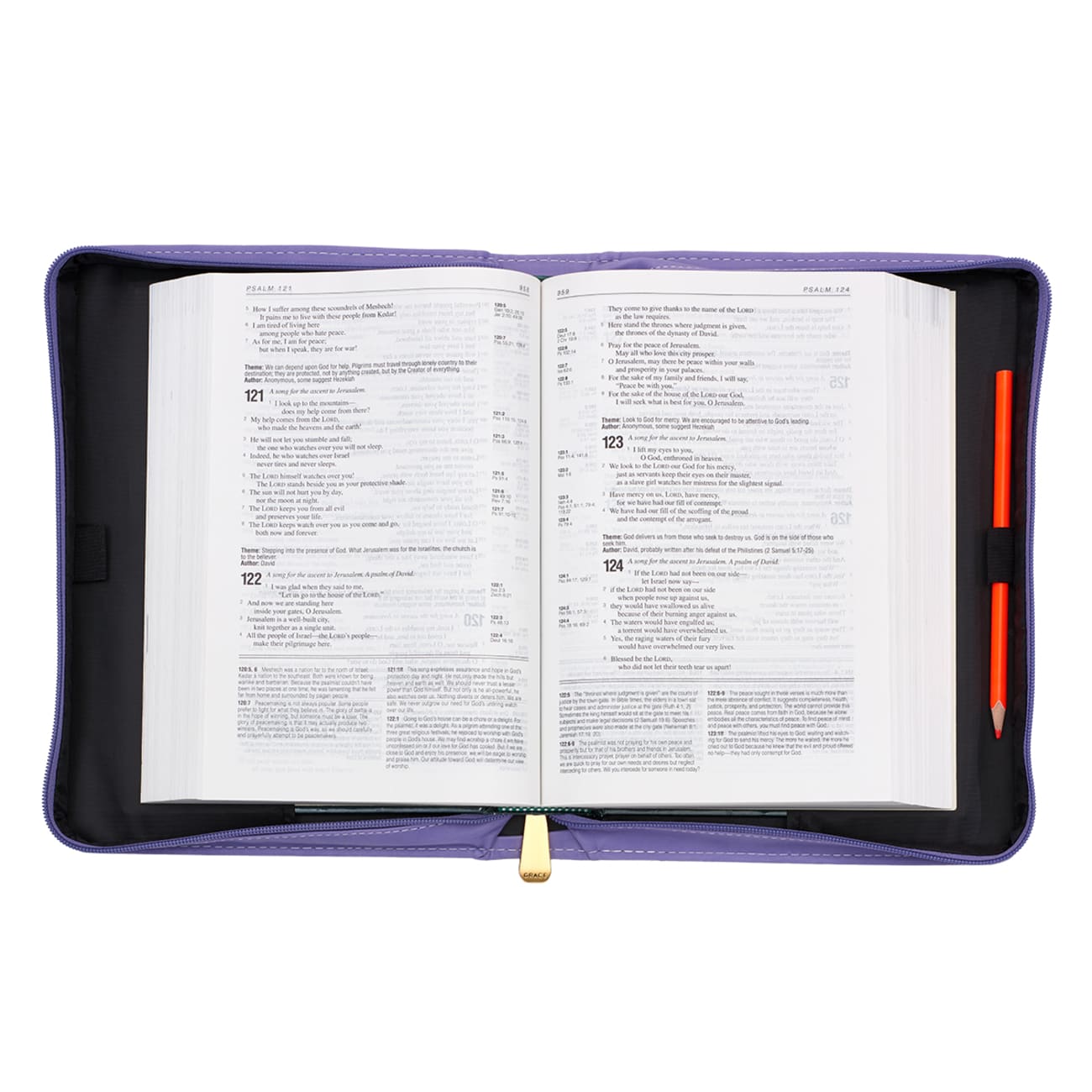 Bible Cover Trendy Medium Plans to Give You Hope and a Future, Purple Floral Luxleather (Jer 29: 11) Bible Cover