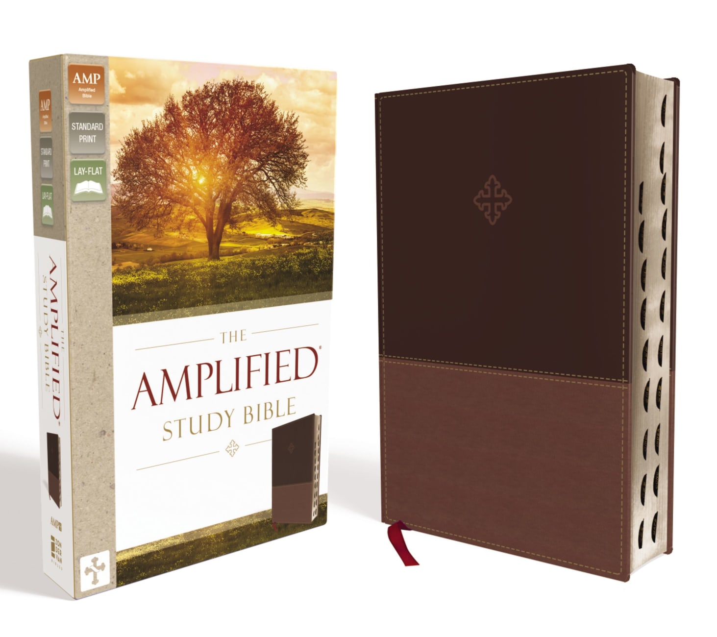 Amplified Study Bible Brown Indexed (Black Letter Edition) Imitation Leather