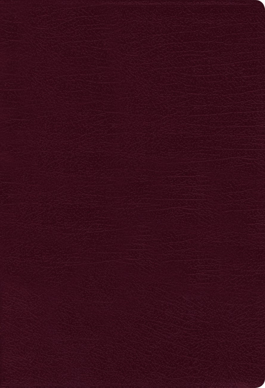 NIV Thinline Bible Burgundy (Red Letter Edition) Bonded Leather