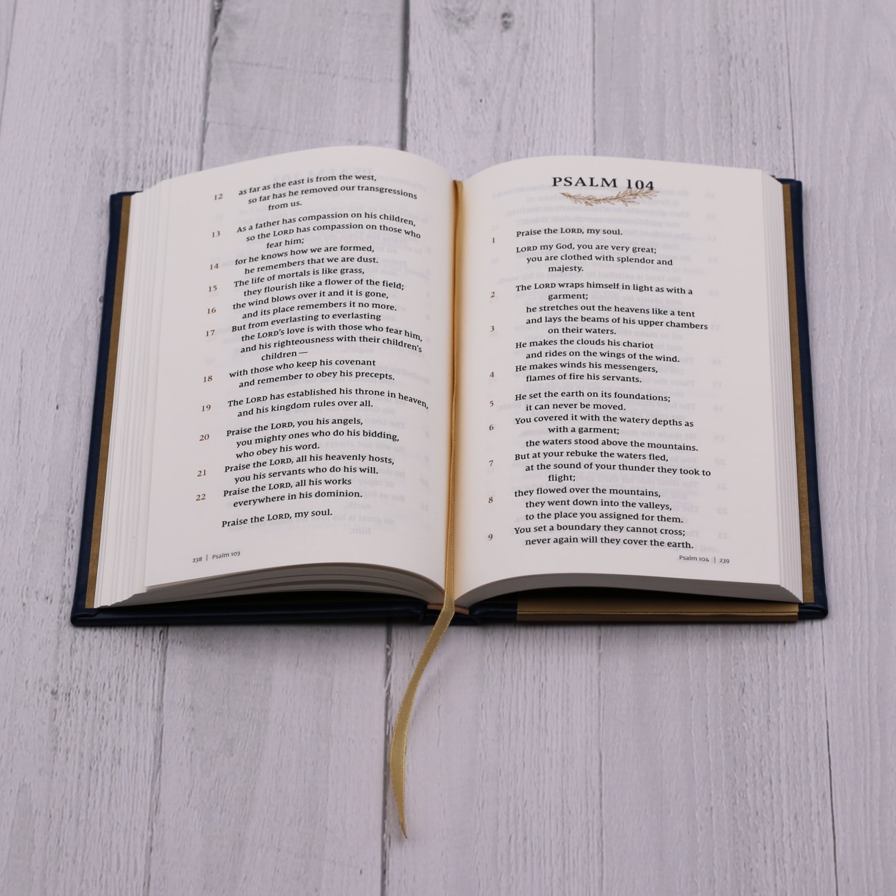 NIV Psalms and Proverbs Navy Hardback