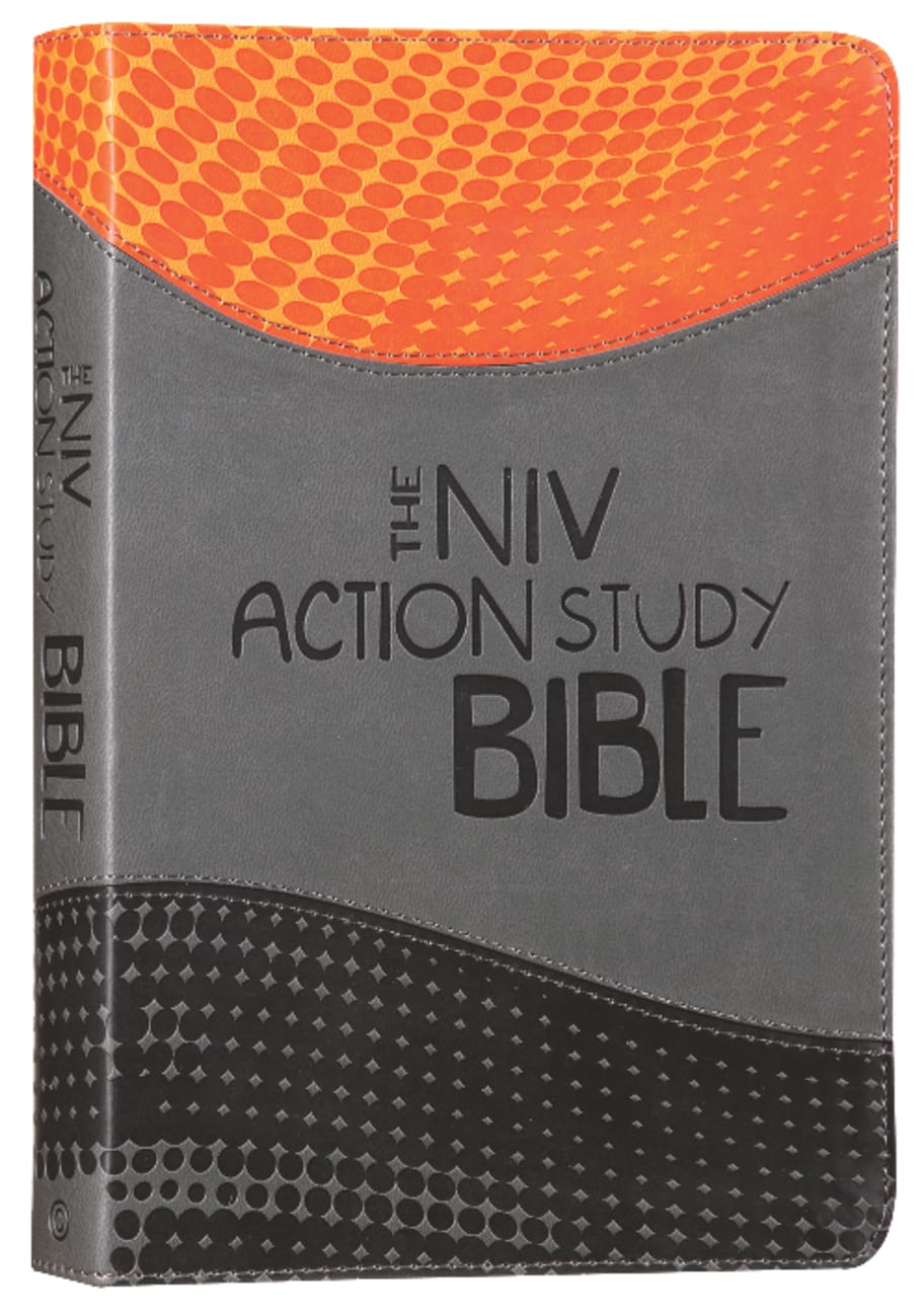 NIV Action Study Bible Premium Imitation Leather