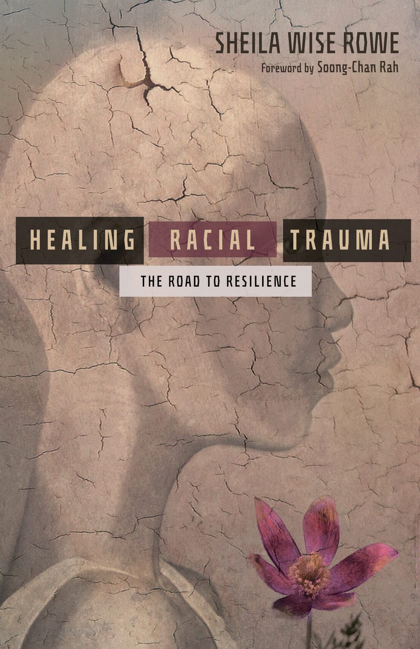 Healing Racial Trauma: The Road to Resilience Paperback