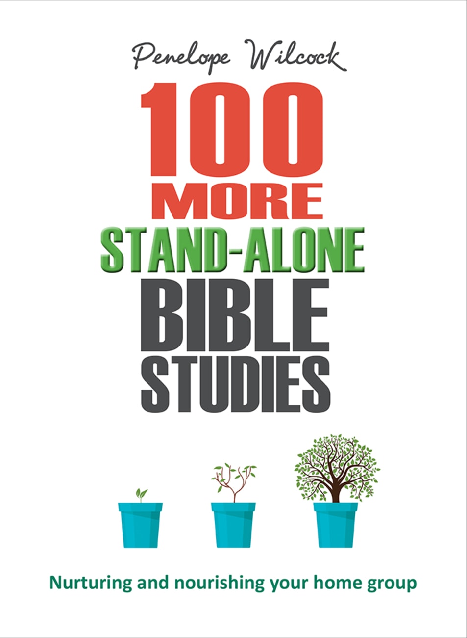 100 More Stand Alone Bible Studies: Nurturing and Nourishing Your Home Group Paperback