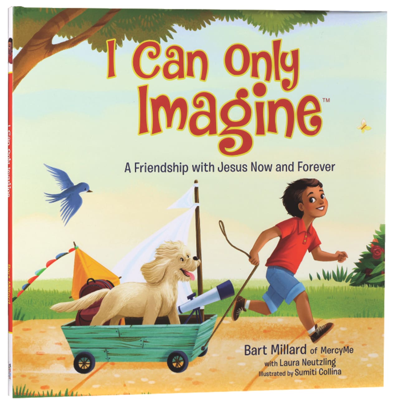 I Can Only Imagine (Picture Book) Hardback