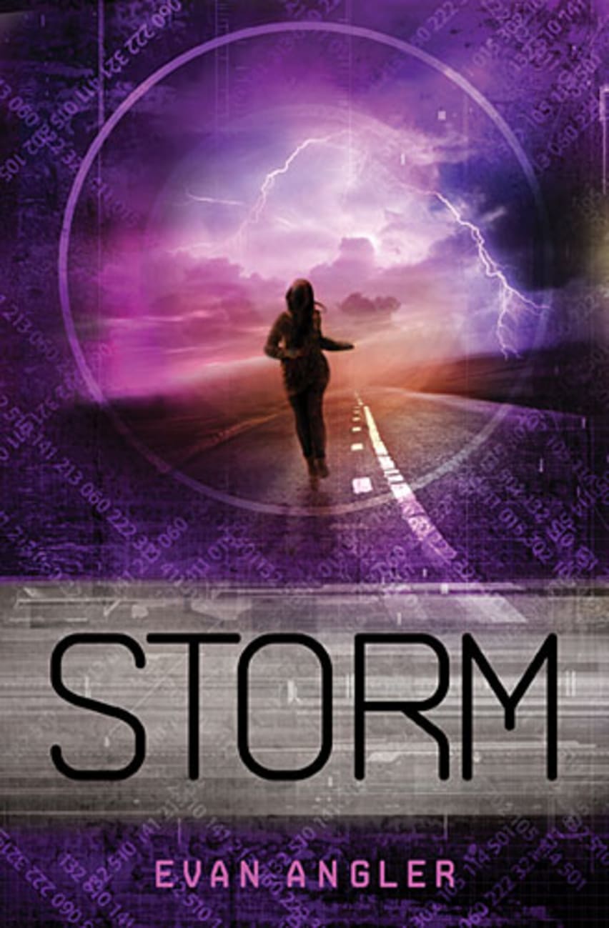 Storm (#03 in Swipe Series) Paperback