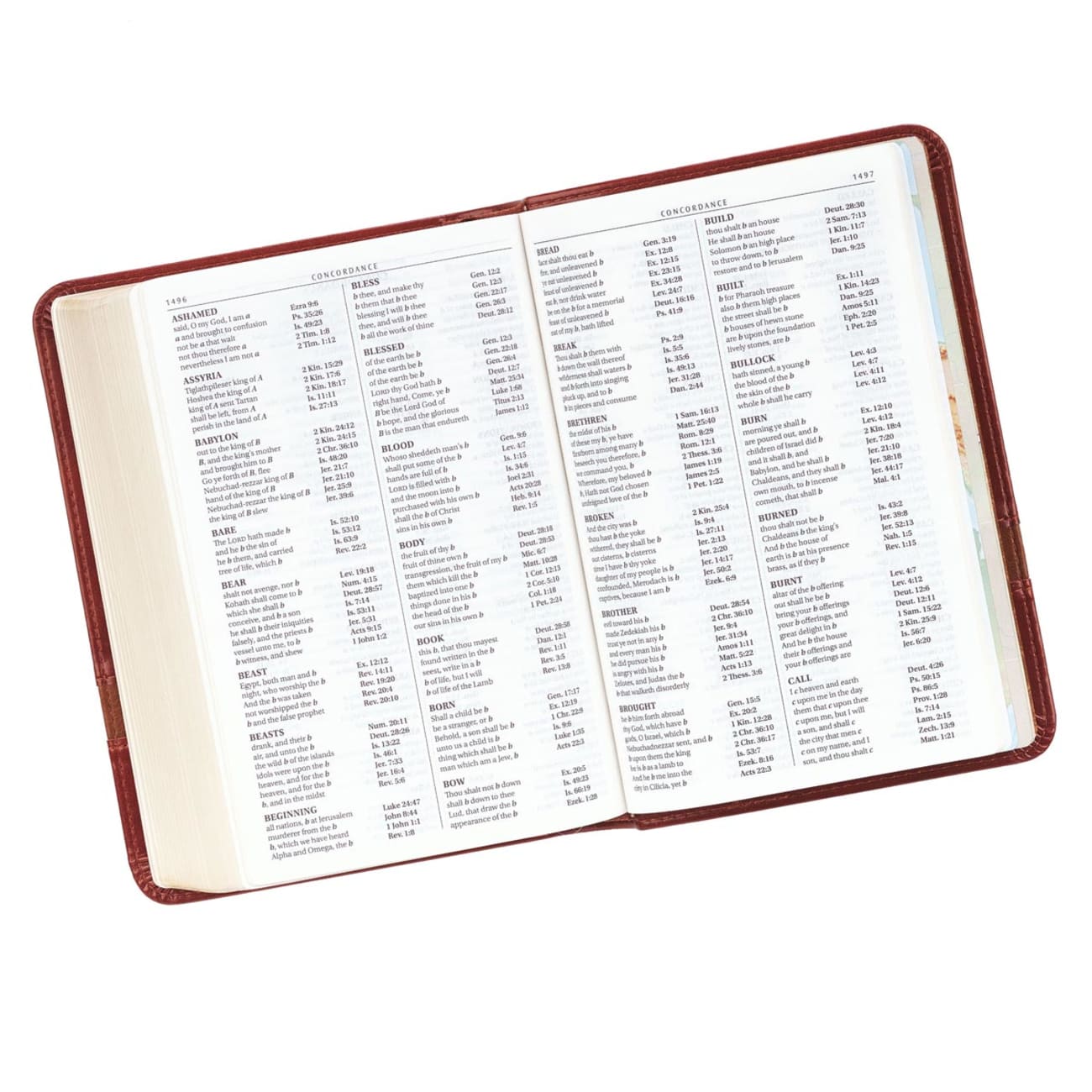 KJV Large Print Compact Bible Brown Red Letter Edition Imitation Leather