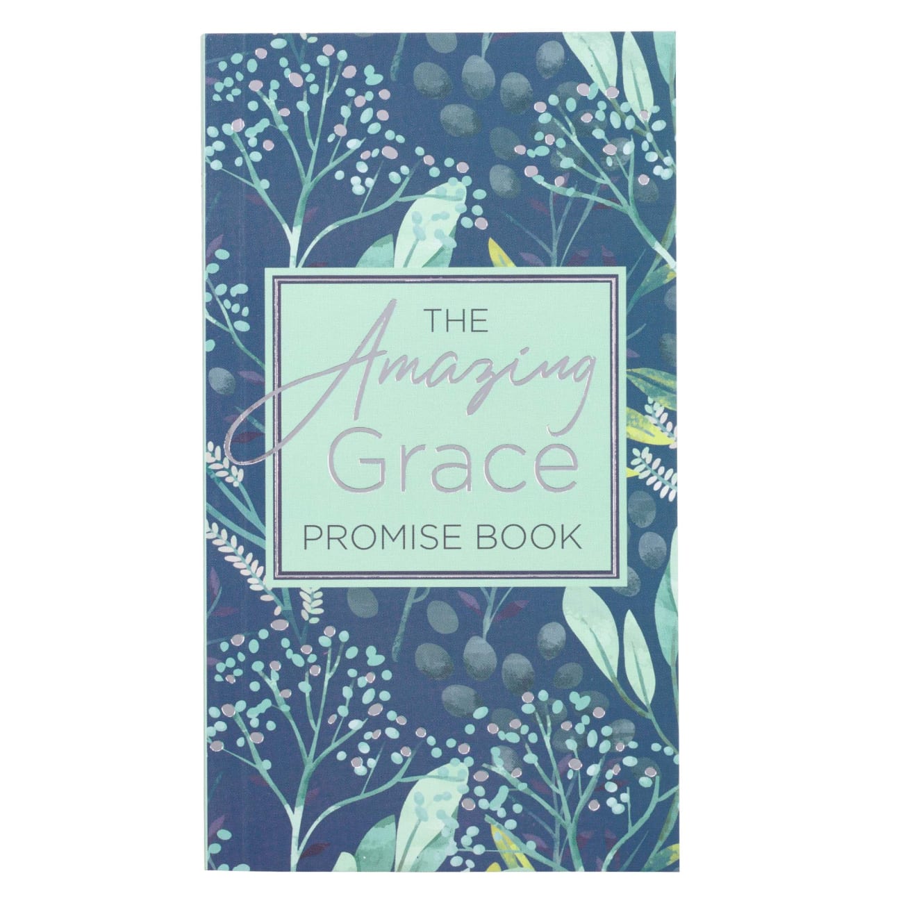 The Amazing Grace Promise Book Paperback