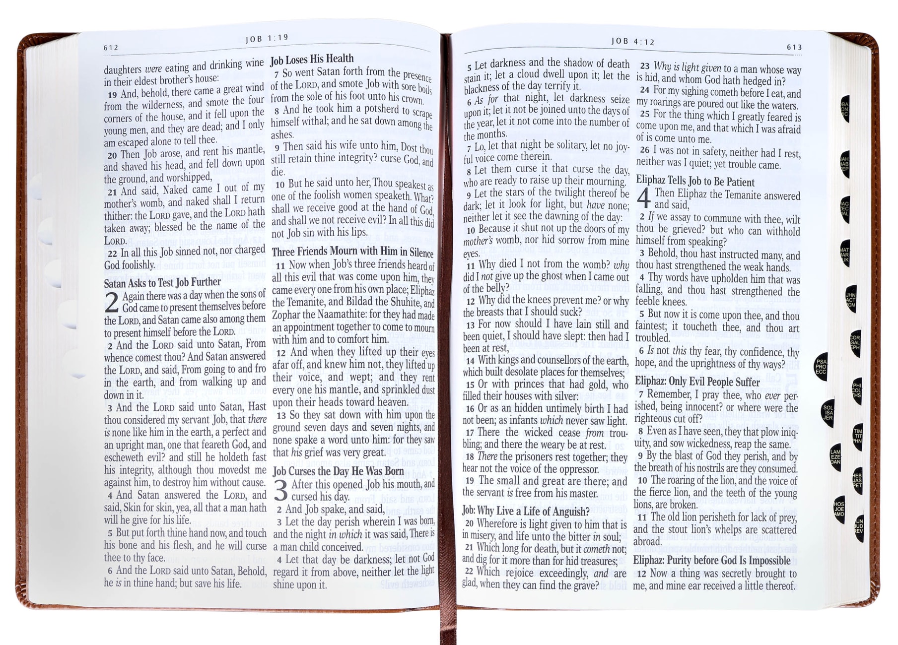 KJV Giant Print Bible Indexed Tan Flowers (Red Letter Edition) Imitation Leather