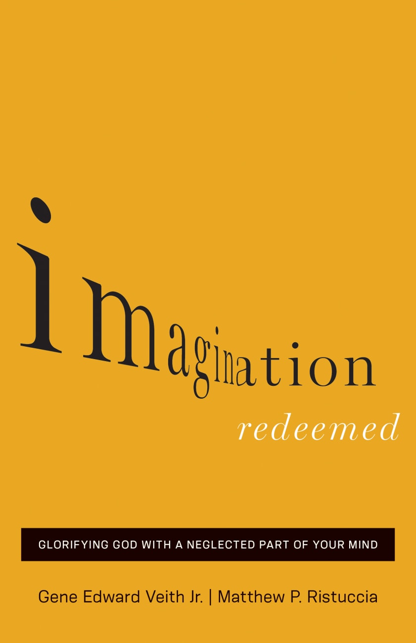 Imagination Redeemed Paperback