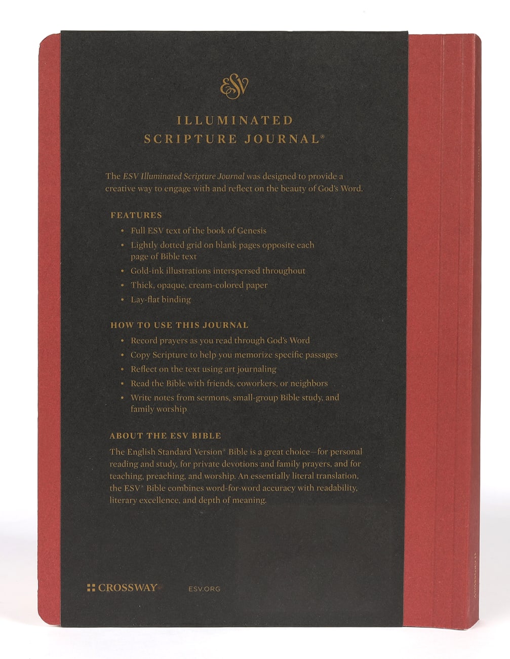 ESV Illuminated Scripture Journal Genesis (Black Letter Edition) Paperback