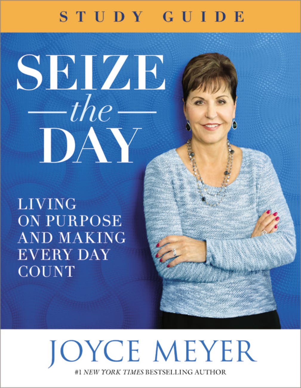 Seize the Day (Study Guide) Paperback