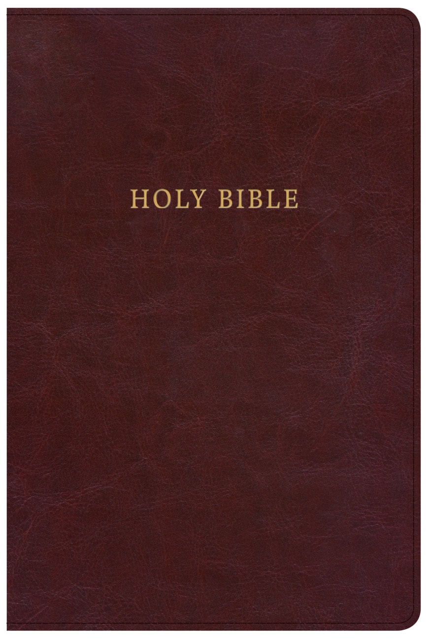 KJV Large Print Personal Size Reference Bible Classic Burgundy (Red Letter Edition) Imitation Leather