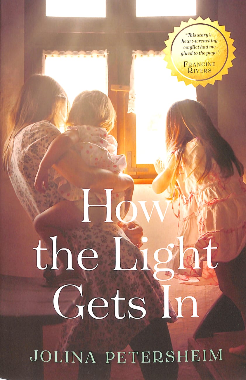 How the Light Gets in Paperback
