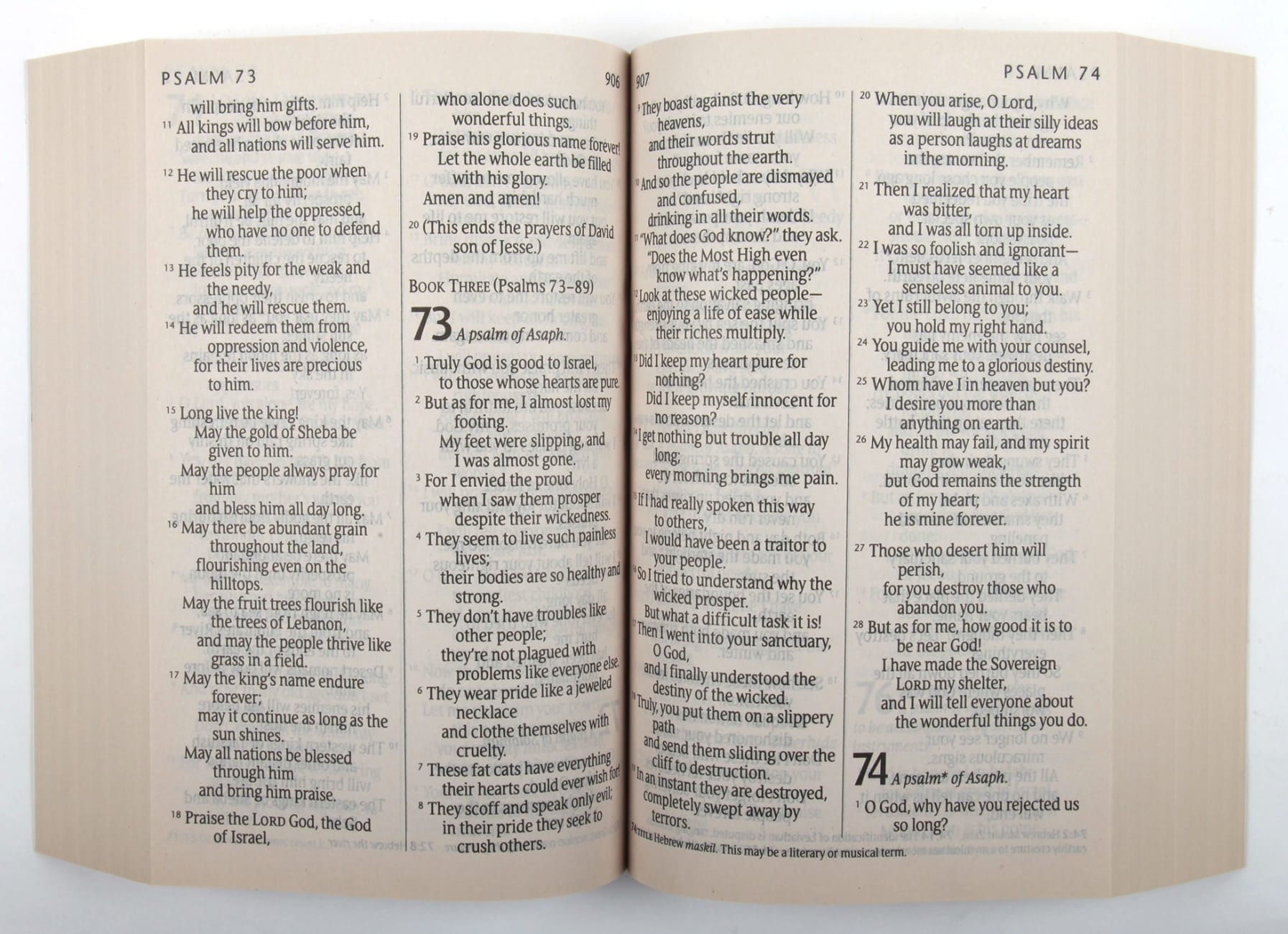 NLT Abundant Life Bible Large Print (Black Letter Edition) Paperback