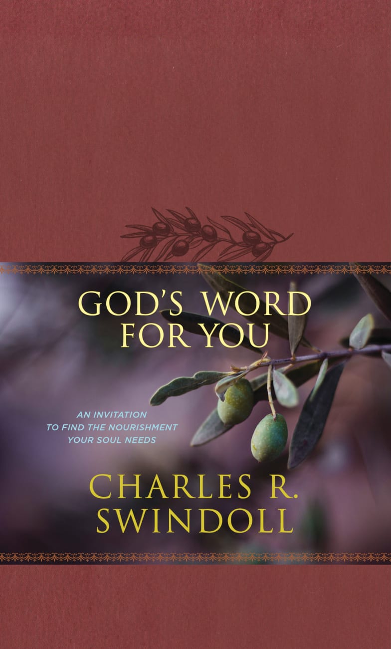 God's Word For You: An Invitation to Find the Nourishment Your Soul Needs Imitation Leather
