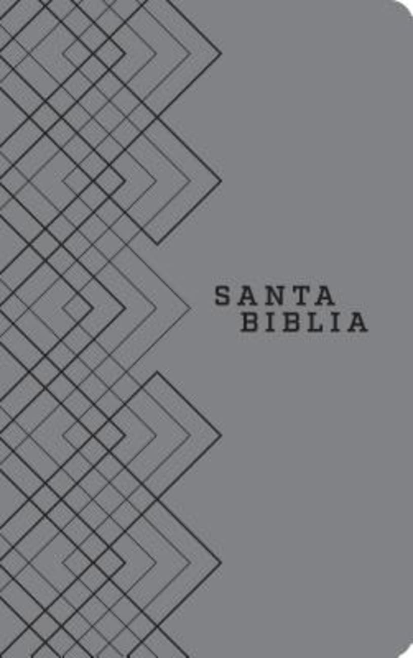 Ntv Santa Biblia Edicion Agape Gris (Black Letter Edition) Imitation Leather