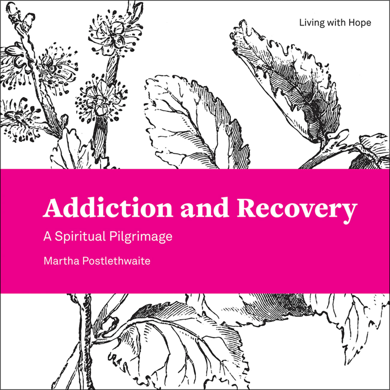 Addiction and Recovery: A Spiritual Pilgrimage (Living With Hope Series) Paperback