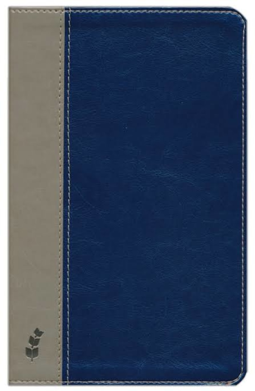 ERV Bible Deluxe Duotone Blue/Grey Imitation Leather