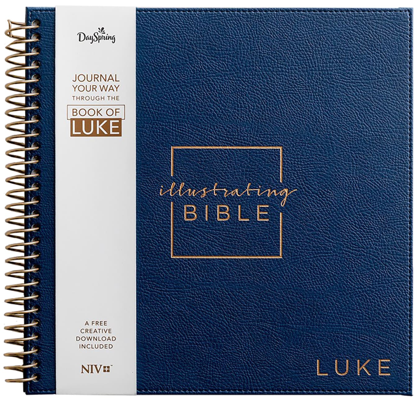 NIV Illustrating Bible Book of Luke With Navy Faux Leather Large Print (Black Letter Edition) Spiral