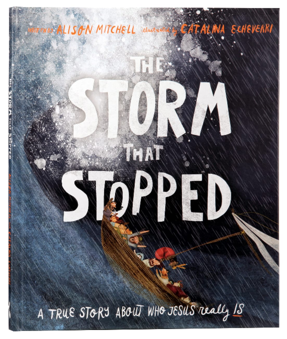 The Storm That Stopped: A True Story About Who Who Jesus Really is (Tales That Tell The Truth Series) Hardback