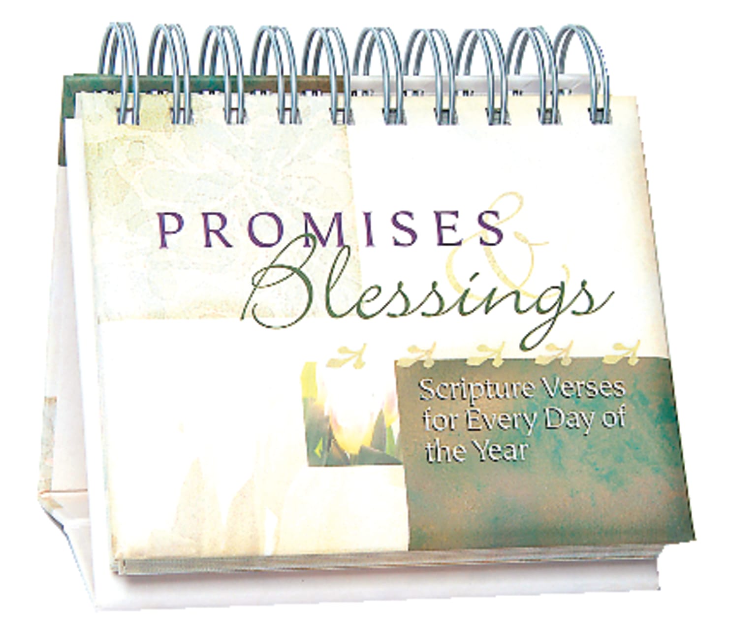 Daybrighteners: Promises and Blessings (Padded Cover) Spiral
