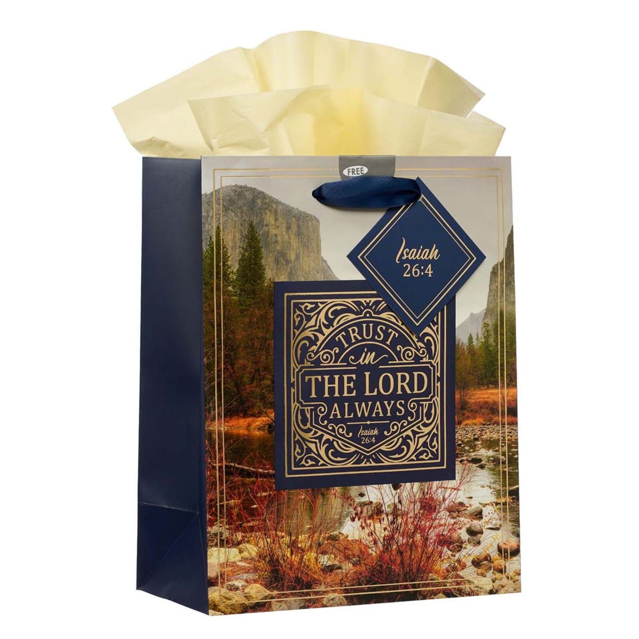 Gift Bag Medium: Rejoice in the Lord Navy Landscape (Phil 4:4) Stationery