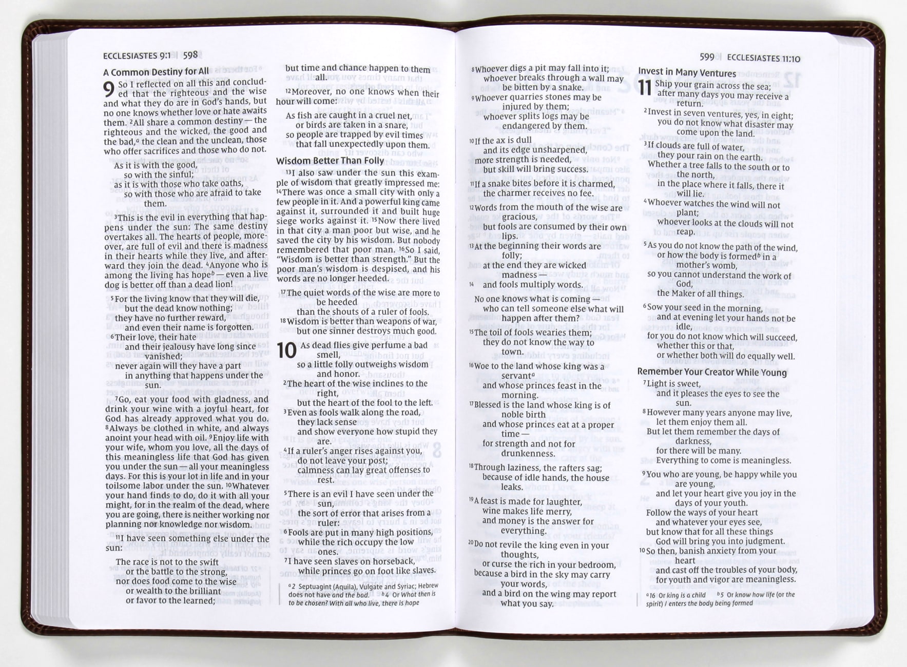 NIV Value Thinline Bible Large Print Brown (Black Letter Edition) | Koorong