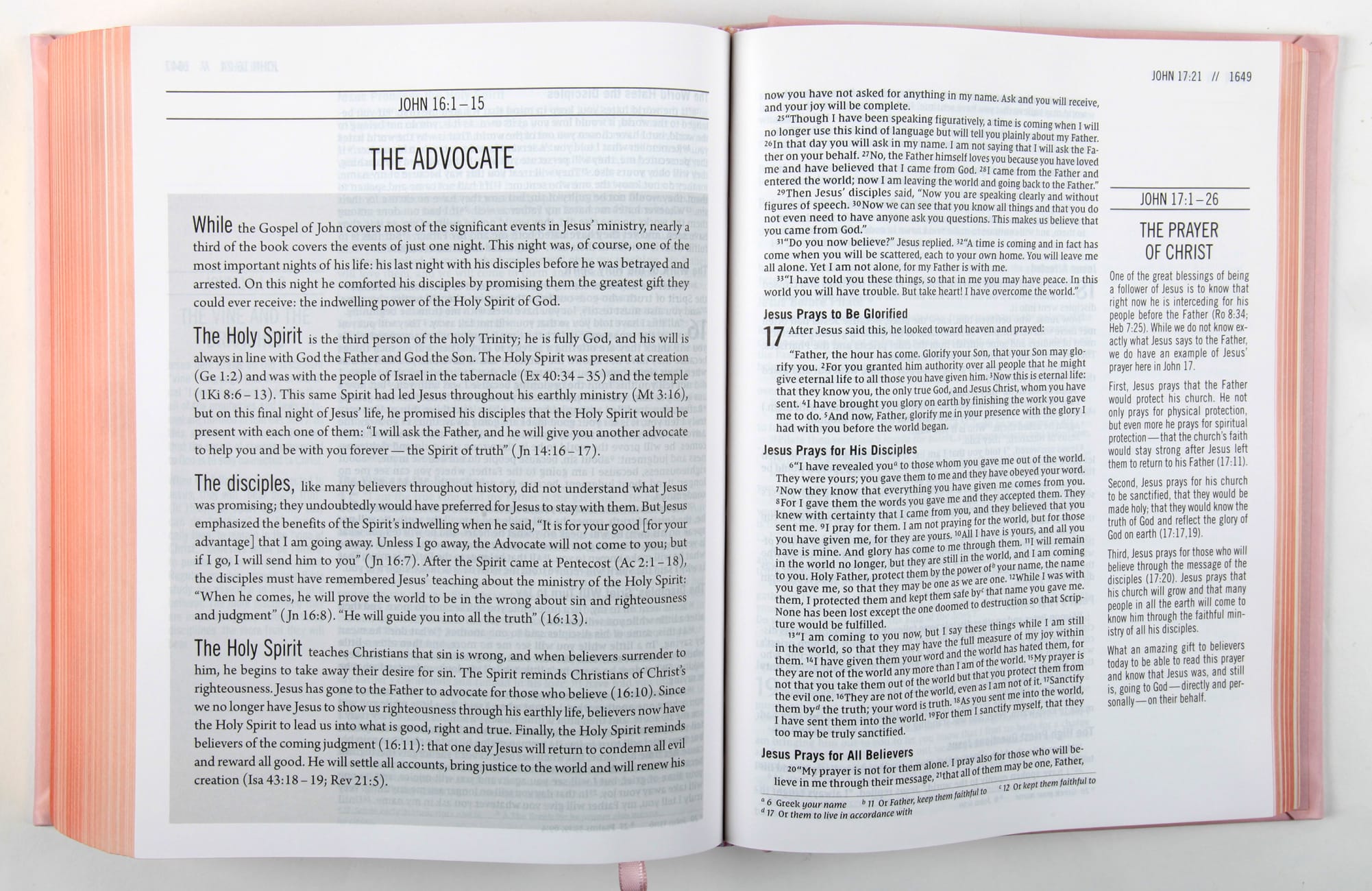 NIV the Jesus Bible Pink Comfort Print Edition (Black Letter Edition) by Louie Giglio Koorong