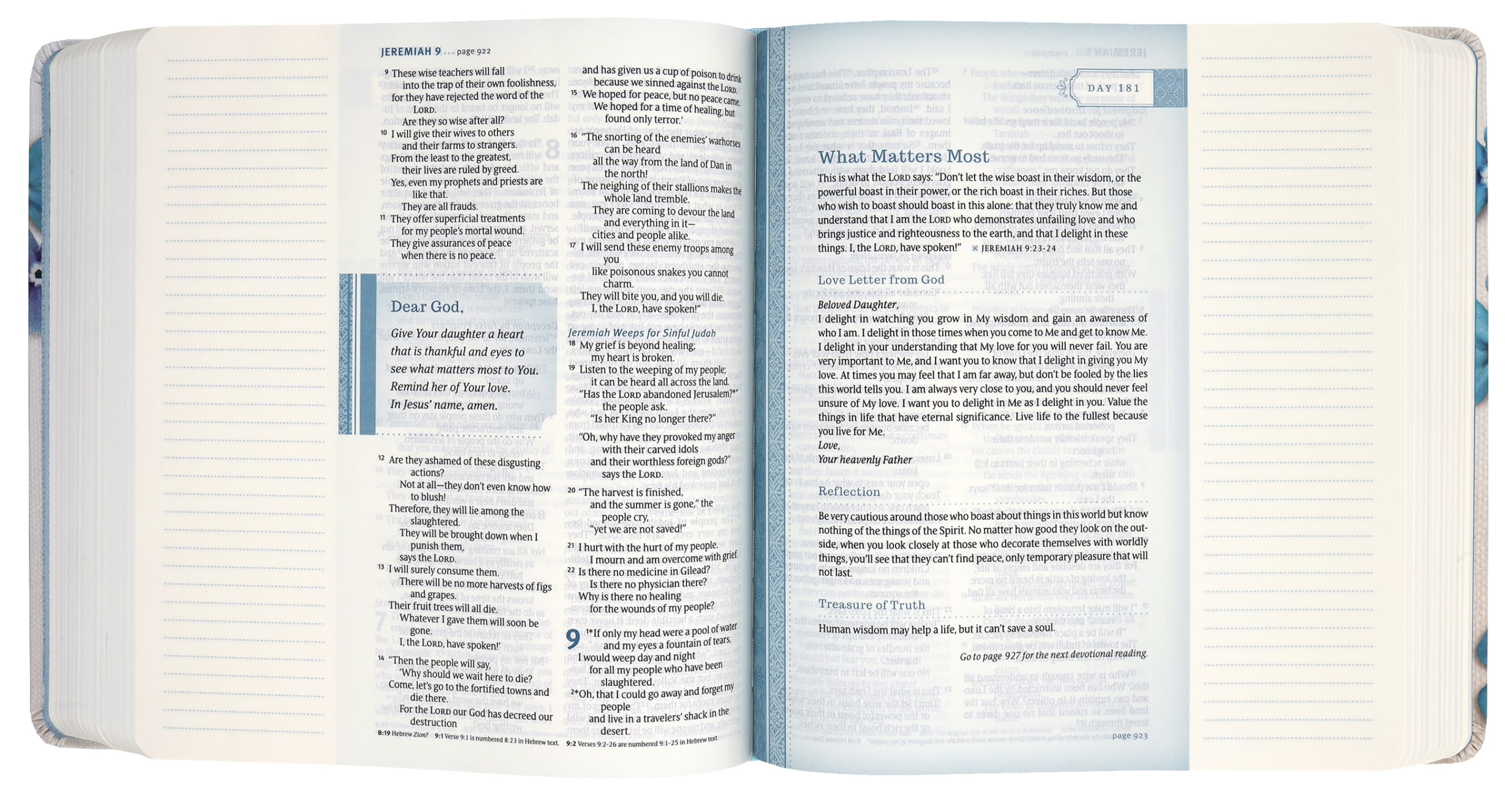 NLT Thrive Creative Journaling Devotional Bible Blue Flowers (Black Letter Edition) Hardback