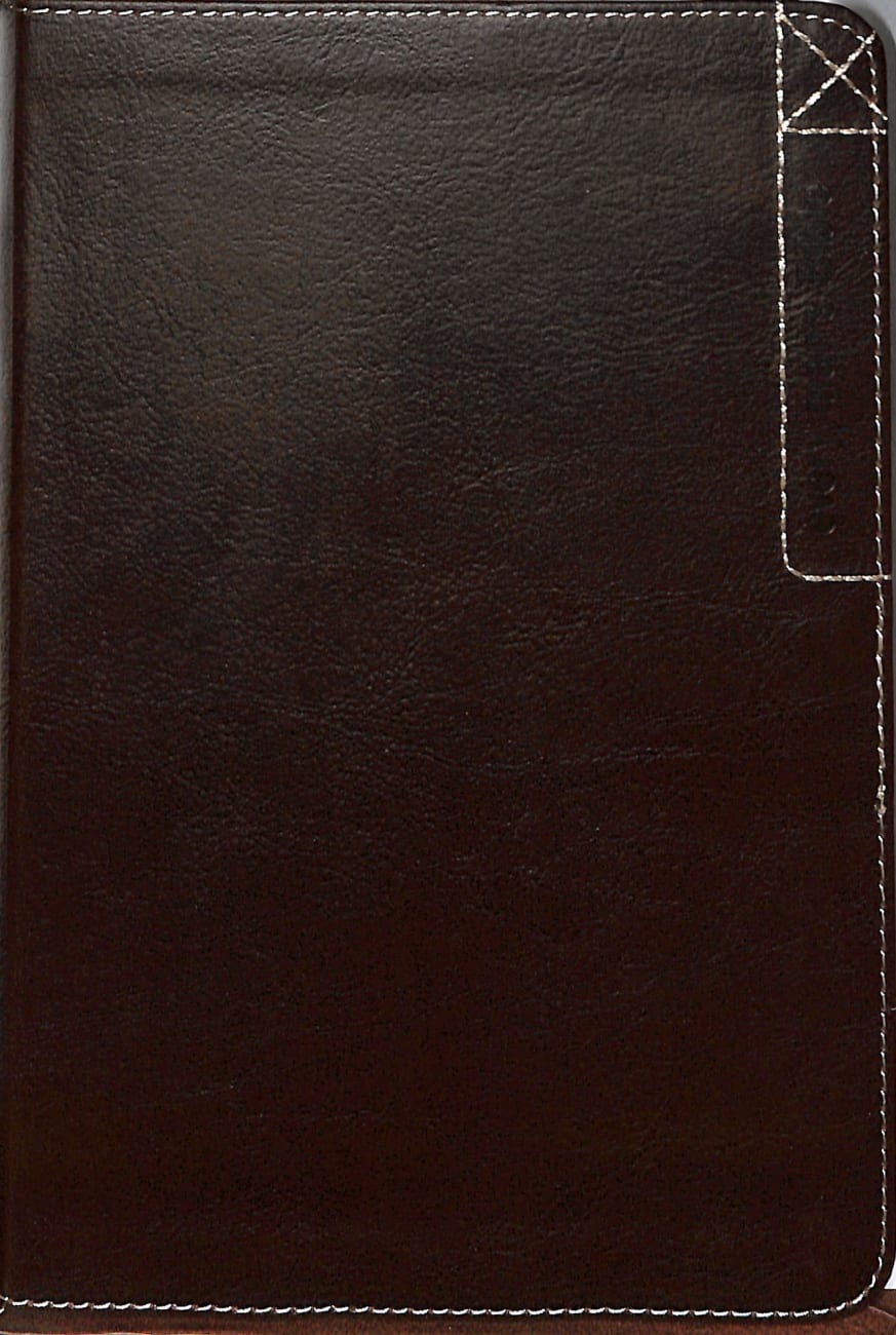 NLT Every Man's Bible Deluxe Explorer Edition Rustic Brown (Black Letter Edition) Imitation Leather
