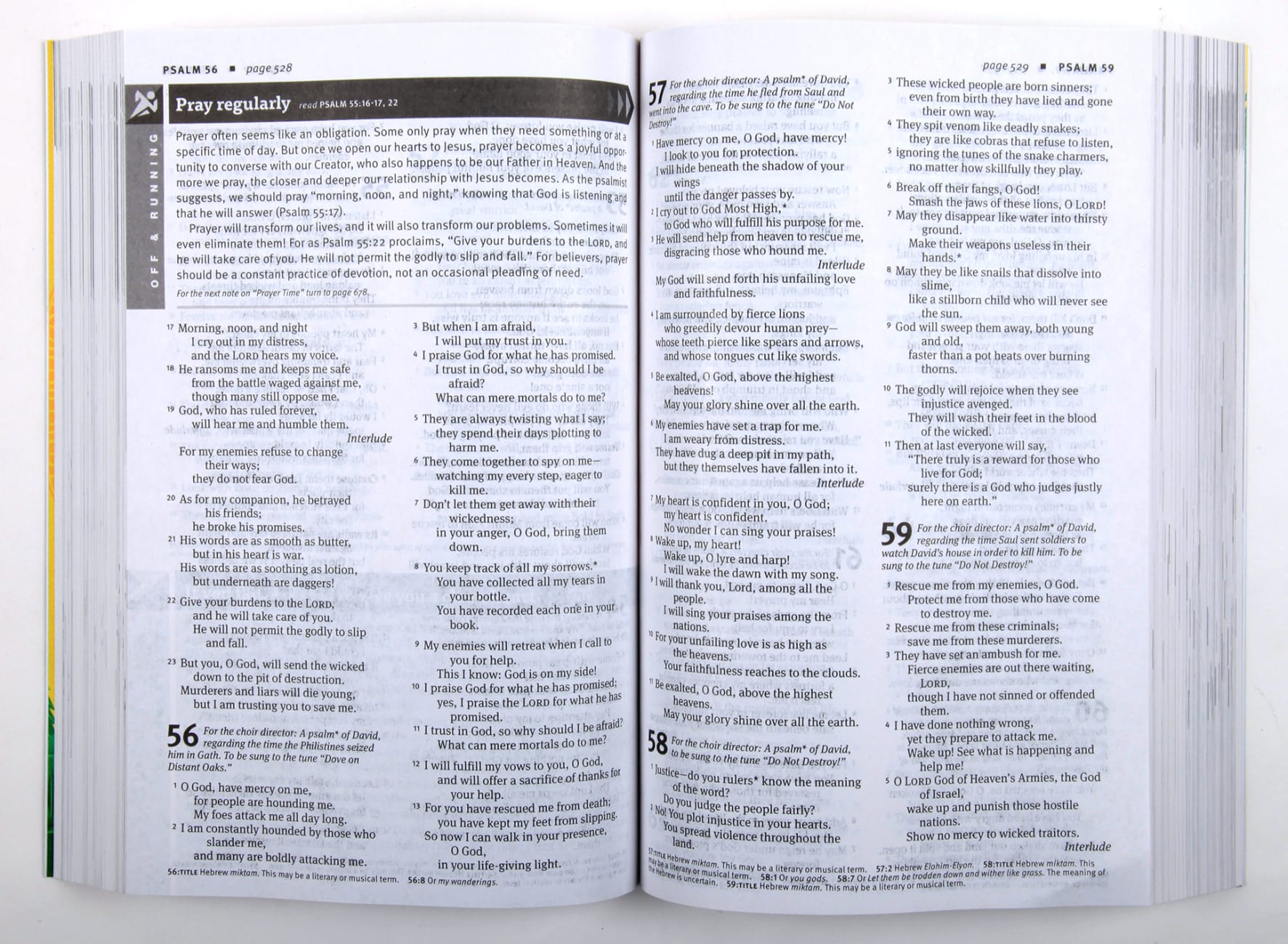 NLT New Believer's Bible by Greg Laurie | Koorong