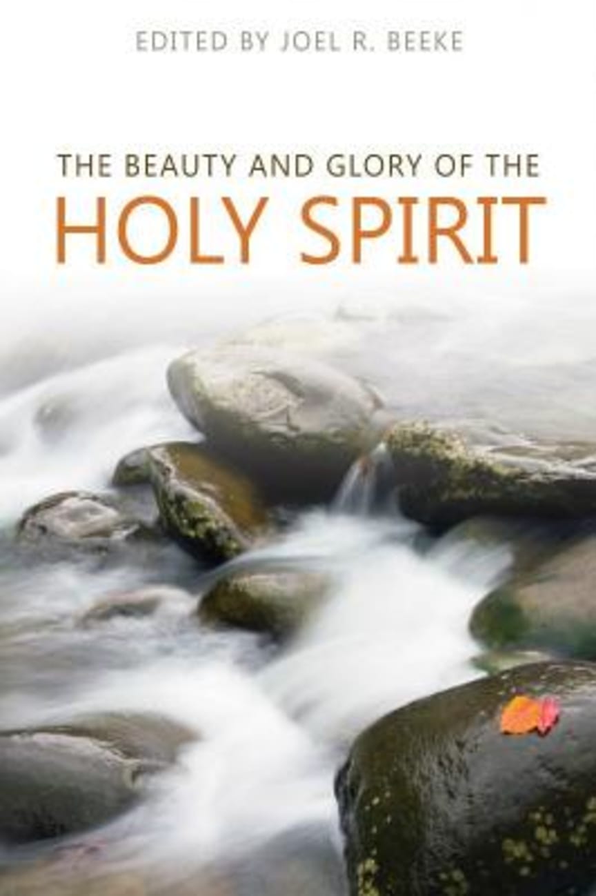 The Beauty and the Glory of the Holy Spirit (The Beauty And Glory Series) Hardback