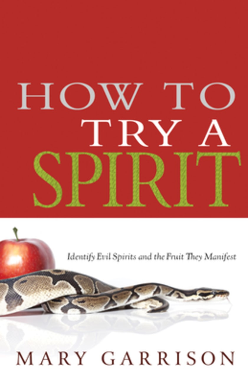 How to Try a Spirit Paperback