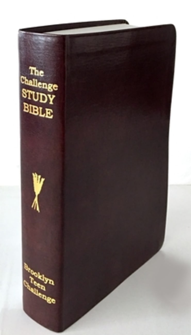 CEV Challenge Study Bible Flexi-back