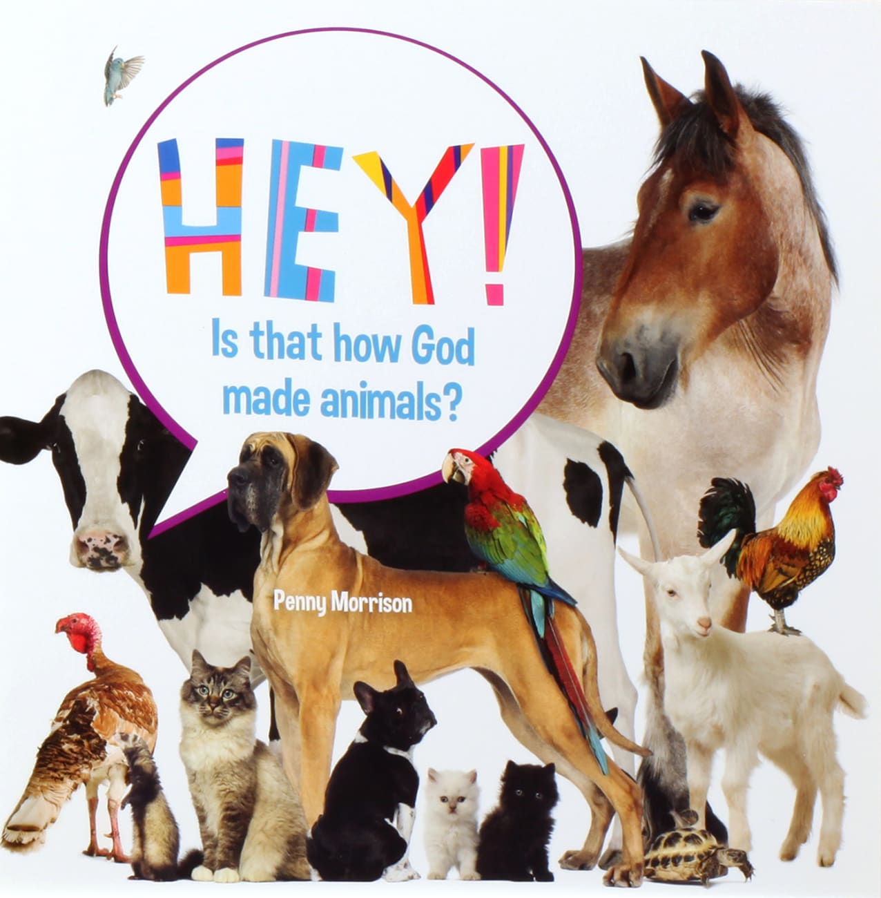 Hey! is That How God Made Animals? by Penny Morrison | Koorong