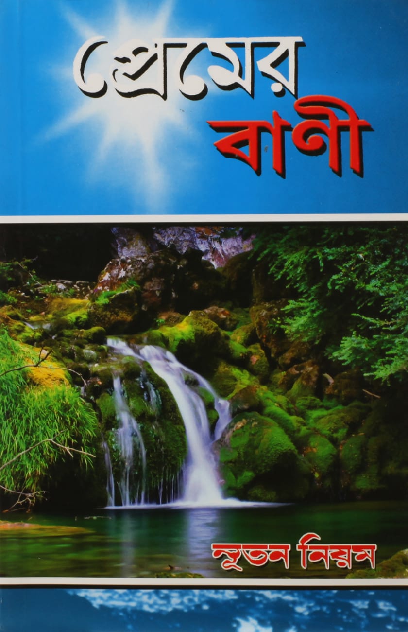 Bengali New Testament Paperback