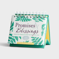 Daybrighteners: Promises & Blessings (Padded Cover) (Kjv) Spiral
